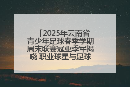 2025年云南省青少年足球春季学期周末联赛冠亚季军揭晓 职业球星与足球小将共享荣耀时刻