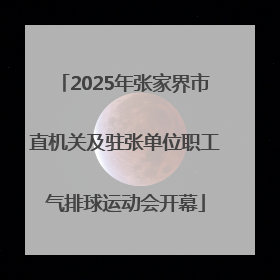 2025年张家界市直机关及驻张单位职工气排球运动会开幕