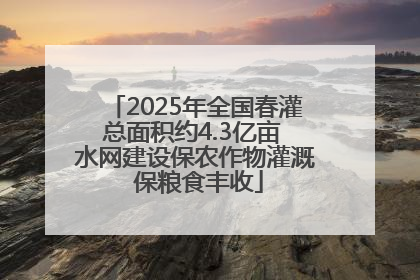 2025年全国春灌总面积约4.3亿亩 水网建设保农作物灌溉 保粮食丰收