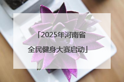 2025年河南省全民健身大赛启动
