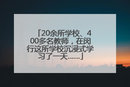 20余所学校、400多名教师，在闵行这所学校沉浸式学习了一天……