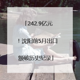 242.9亿元！沈阳前5月出口额破历史纪录