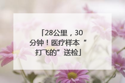 28公里，30分钟！医疗样本“打飞的”送检