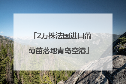 2万株法国进口葡萄苗落地青岛空港