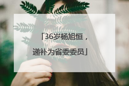 36岁杨旭恒，递补为省委委员