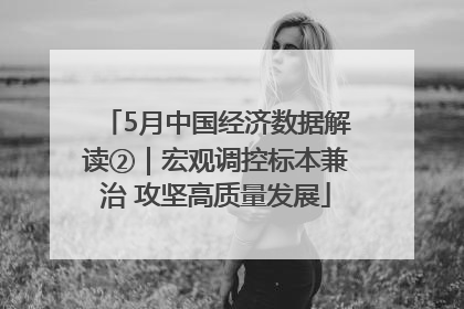 5月中国经济数据解读②｜宏观调控标本兼治 攻坚高质量发展