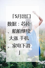 5月出口数据：芯片、船舶继续大涨 手机、家电下滑