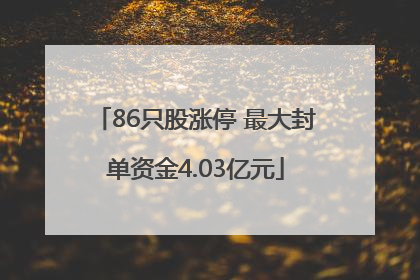 86只股涨停 最大封单资金4.03亿元