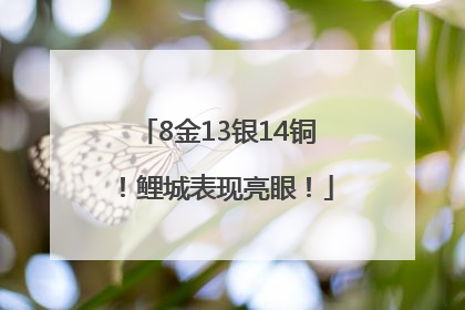 8金13银14铜！鲤城表现亮眼！