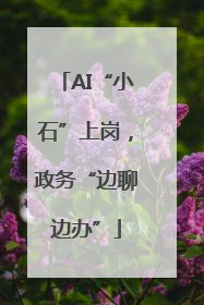AI“小石”上岗，政务“边聊边办”