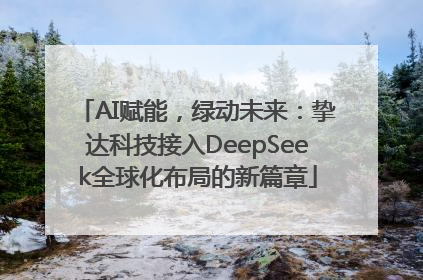 AI赋能，绿动未来：挚达科技接入DeepSeek全球化布局的新篇章