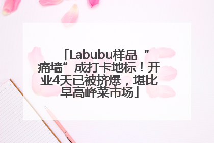 Labubu样品“痛墙”成打卡地标！开业4天已被挤爆，堪比早高峰菜市场