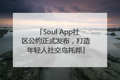 Soul App社区公约正式发布，打造年轻人社交乌托邦